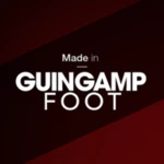 Logo of Foot Guingamp android Application 